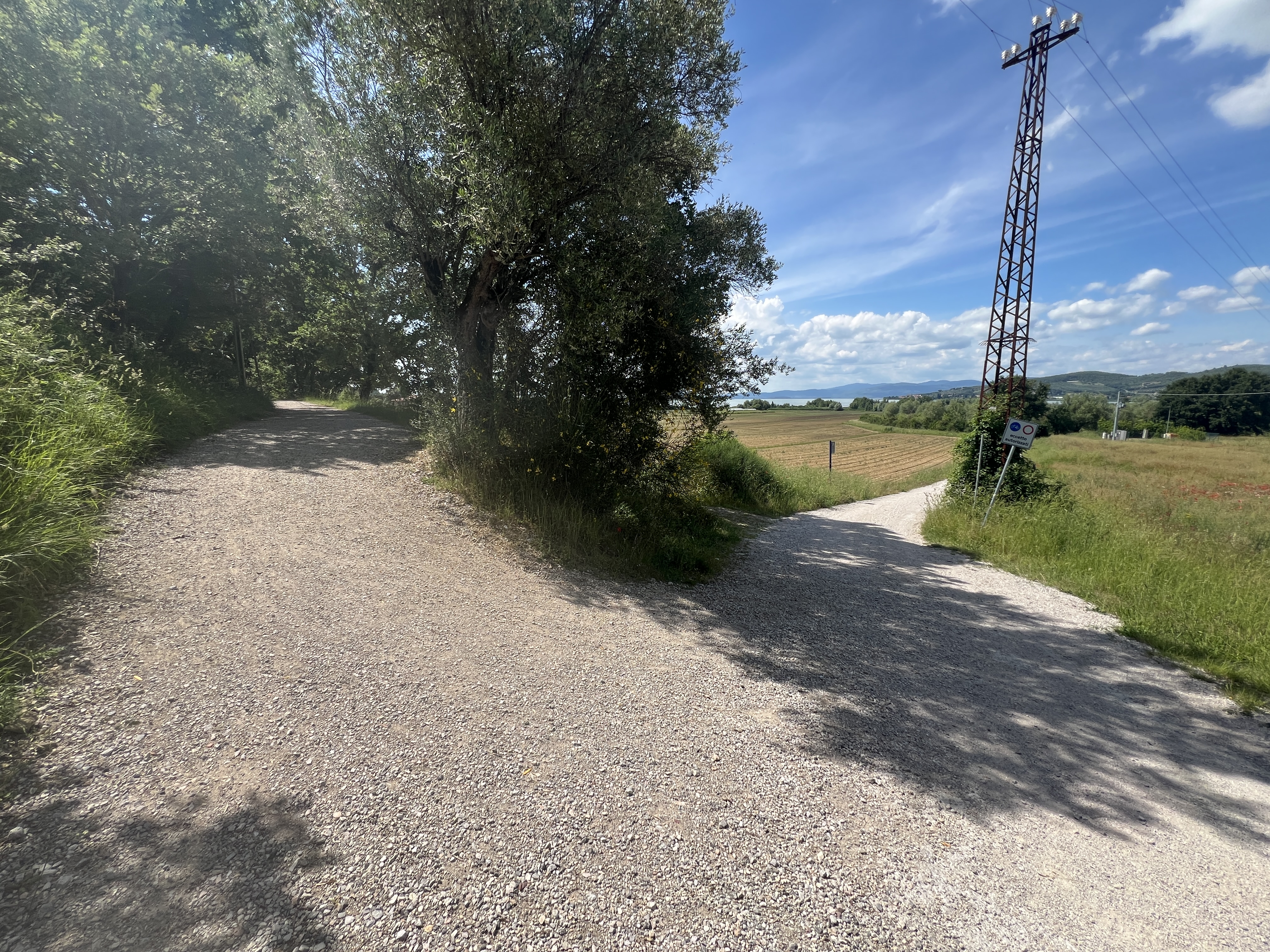 Scharfe Kurve entlang der Cyclovia. Schattiger oberer Teil und sonniger unterer Teil, durchquert bewirtschaftete Felder.